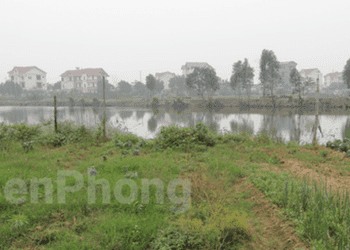 Trái chiều về đề xuất cấp 'sổ đỏ' với đất không giấy tờ sử dụng trước 1/7/2014