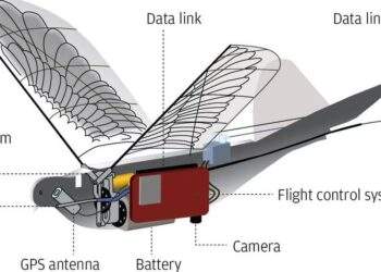 Trung Quốc giám sát người dân bằng drone robot hình chim