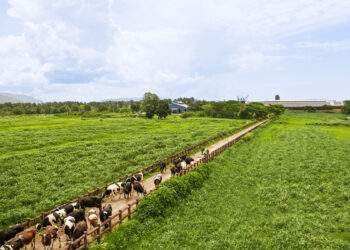 2 năm chuyển mình toàn diện, ‘chất Vinamilk’ không thay đổi