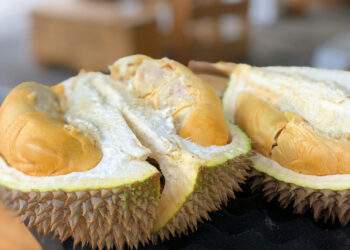 China to import durian, crocodile from Cambodia