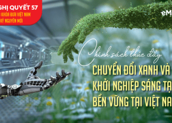 Chính sách thúc đẩy chuyển đổi xanh và khởi nghiệp sáng tạo bền vững tại Việt Nam