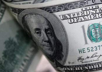 Dollar gains little against dong on black market