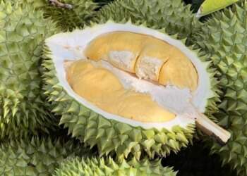 Durian loses top export status to dragon fruit, banana on tough import requirements