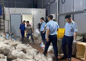 Hà Nội phát hiện số lượng lớn thịt bò, xúc xích, chả cá... bẩn chuẩn bị được đưa ra thị trường