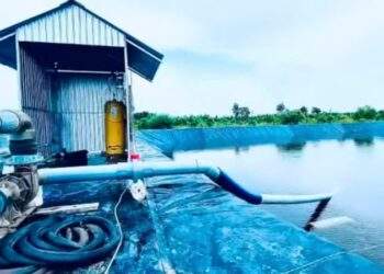 Hiểm họa khôn lường từ sử dụng clo lỏng trong xử lý nước nuôi trồng thủy sản