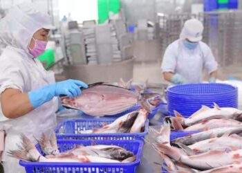 Ngân hàng Nhà nước 'bơm' 100.000 tỷ đồng cho nông, lâm, thủy sản