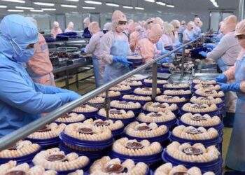 Nhiều cơ hội đang mở ra cho xuất khẩu sang Nga