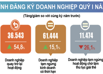 Quý 1/2025: Số doanh nghiệp thành lập mới giảm nhẹ, số doanh nghiệp tái gia nhập thị trường tăng mạnh