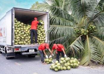 US hikes fruits, vegetables imports from Vietnam