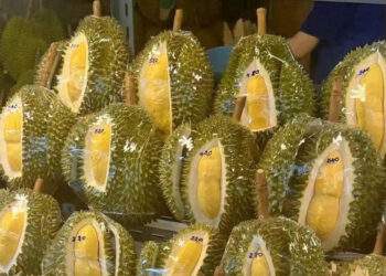 4 nước Đông Nam Á chia phần sầu riêng ở Trung Quốc