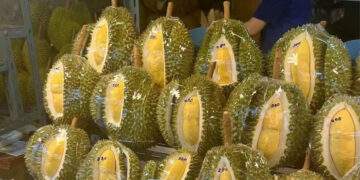 4 nước Đông Nam Á chia phần sầu riêng ở Trung Quốc