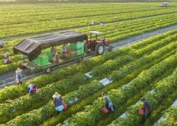 Australia hỗ trợ 2 triệu đô la Úc cho các giải pháp sáng tạo ứng phó với biến đổi khí hậu trong ngành nông nghiệp Việt Nam