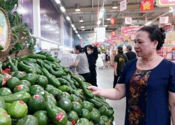 Avocado prices reach 5-year high