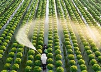 Bộ Nông nghiệp và Môi trường gấp rút sửa đổi hai Luật để phù hợp với tình hình mới
