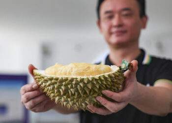 China to accept durian shipments from another 1,000 farms, packaging facilities in Vietnam