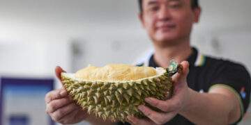 China to accept durian shipments from another 1,000 farms, packaging facilities in Vietnam