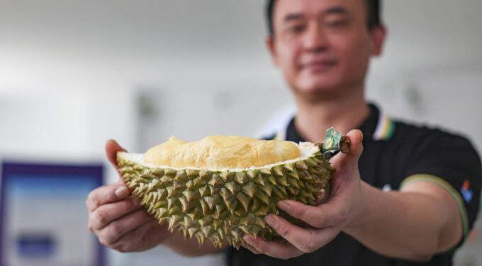 China to accept durian shipments from another 1,000 farms, packaging facilities in Vietnam
