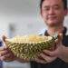 China to accept durian shipments from another 1,000 farms, packaging facilities in Vietnam