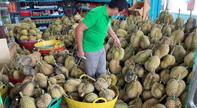 China’s durian market heats up as Cambodia joins export race against Vietnam, Thailand, Malaysia