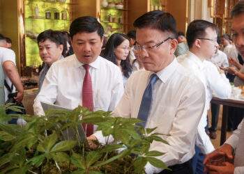 Đưa Quảng Nam trở thành trung tâm công nghiệp dược liệu