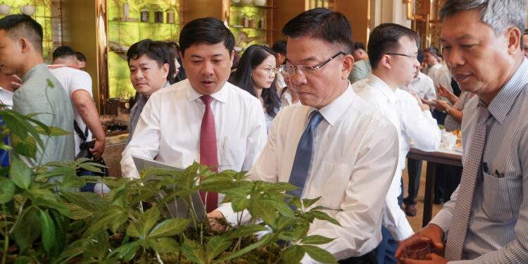 Đưa Quảng Nam trở thành trung tâm công nghiệp dược liệu