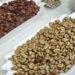 Giá Robusta quốc tế tăng, trong nước tiếp tục giảm