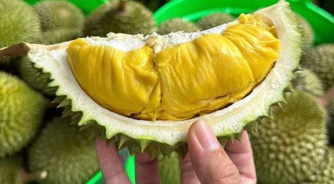 How to choose naturally ripe, chemical-free durian