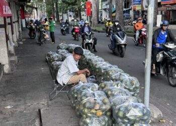 Nắng nóng, cam sành "giải cứu" tăng giá