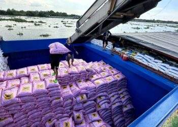 Nông sản trúng mùa, doanh nghiệp phân bón lãi khủng