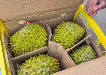Sầu riêng vừa đón tin vui từ Trung Quốc