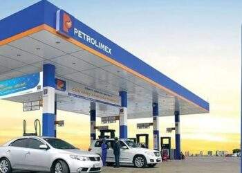 Tập đoàn Xăng Dầu Việt Nam (Petrolimex) lên tiếng về việc tạm dừng quyền Tổng giám đốc với ông Đào Nam Hải