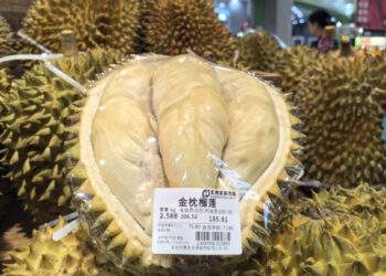 Thai government taps influencer for durian sale in China