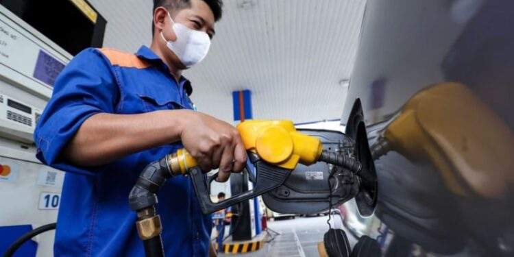Thị trường hồi phục sau hai phiên lao dốc không phanh