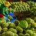 Vegetable, fruit exports to China plummet as durian shipments stalled
