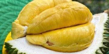 Vietnam races to fix durian export hurdles as China tightens quality checks