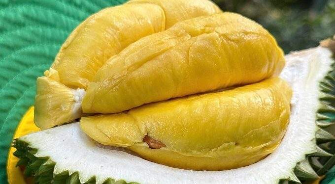 Vietnam races to fix durian export hurdles as China tightens quality checks