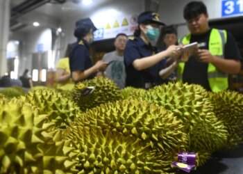 Why Thailand is winning China’s favor in durian export race