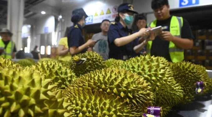 Why Thailand is winning China’s favor in durian export race