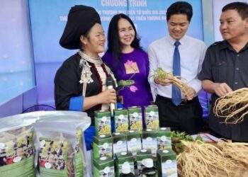 Xây dựng hệ sinh thái thương mại điện tử vùng Trung du và miền núi phía Bắc