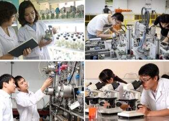 Xây dựng môi trường thuận lợi để trí thức cống hiến và phát triển