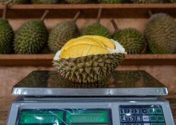 All-you-can-eat durian buffets and massive discounts headline Malaysia’s Mega Sale 2025