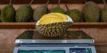 All-you-can-eat durian buffets and massive discounts headline Malaysia’s Mega Sale 2025