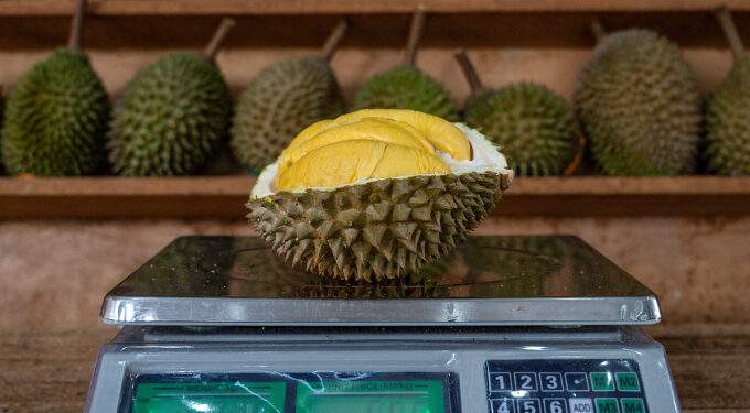 All-you-can-eat durian buffets and massive discounts headline Malaysia’s Mega Sale 2025