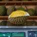 All-you-can-eat durian buffets and massive discounts headline Malaysia’s Mega Sale 2025