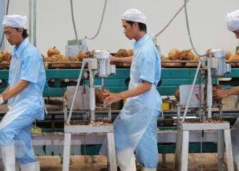 Bến Tre - ‘xứ dừa’ vươn mình tăng trưởng kinh tế, thu hút đầu tư