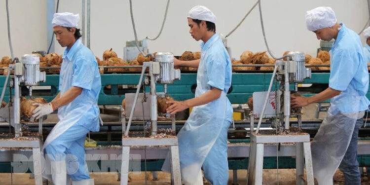 Bến Tre - ‘xứ dừa’ vươn mình tăng trưởng kinh tế, thu hút đầu tư