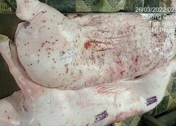 C.P. Vietnam admits diseased pork in viral image came from its site, denies sale