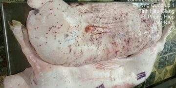 C.P. Vietnam admits diseased pork in viral image came from its site, denies sale