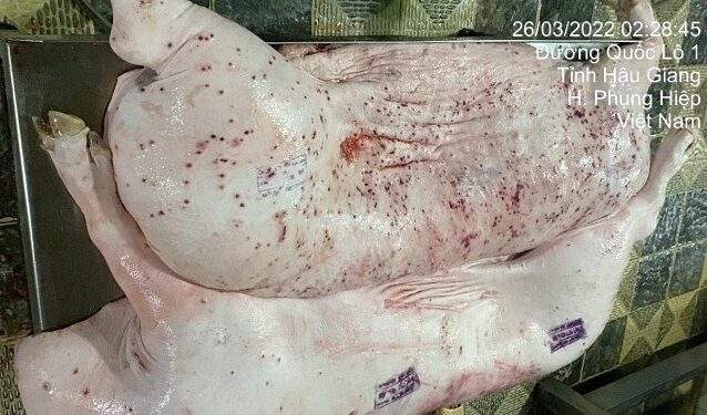 C.P. Vietnam admits diseased pork in viral image came from its site, denies sale