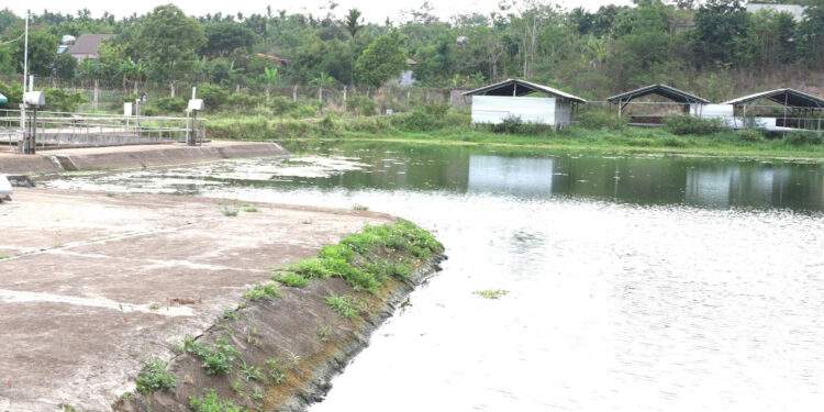 Chủ tịch TP Buôn Ma Thuột nói Công ty cấp nước Đắk Lắk làm 'trò trẻ con'